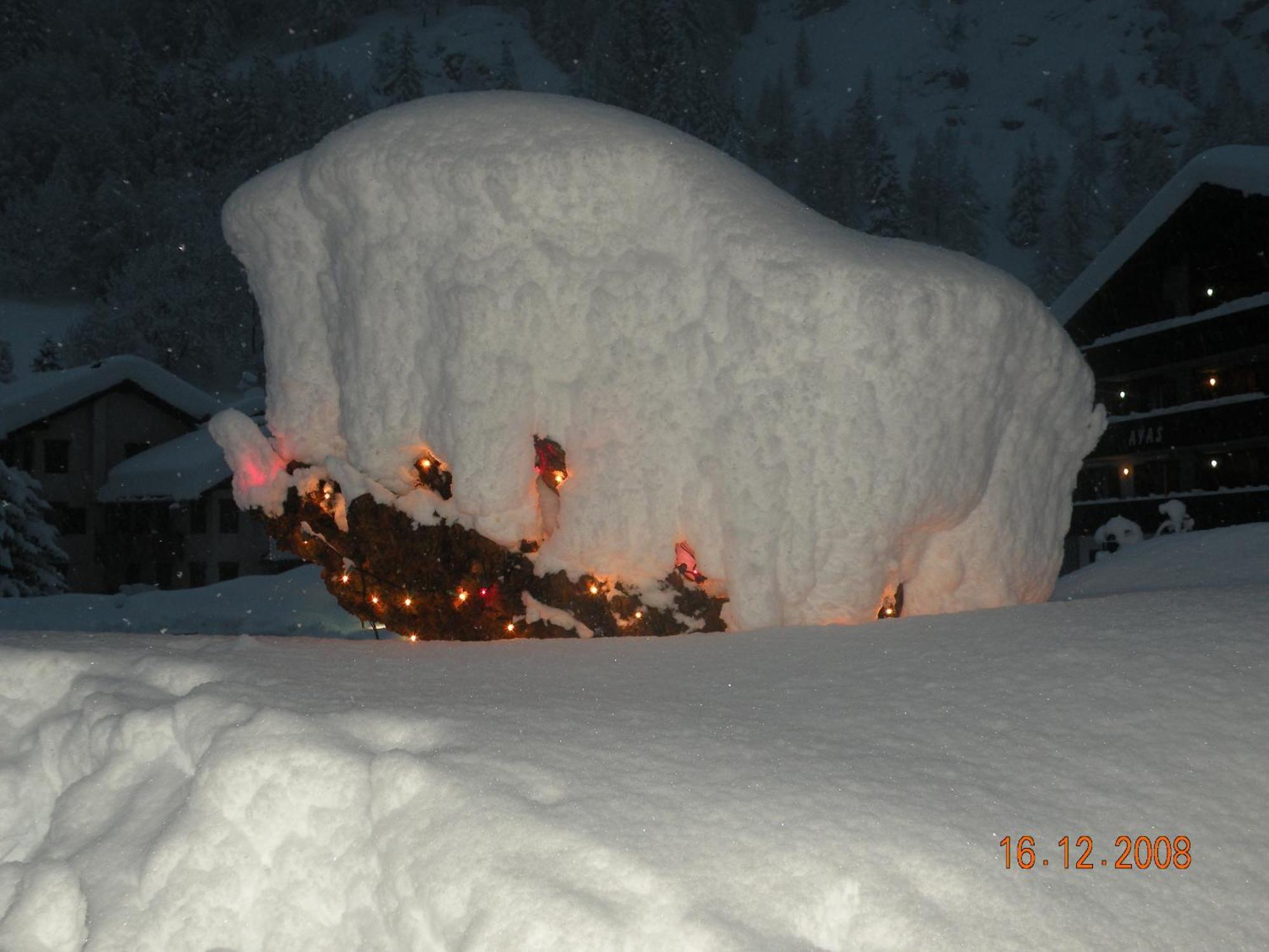 Hotel Bellevue Champoluc Esterno foto